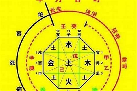 喜神是火|八字入门基础 第六篇 如何判断八字喜用神